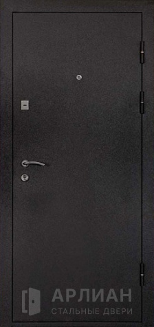 Фото «Входная дверь с зеркалом №78»